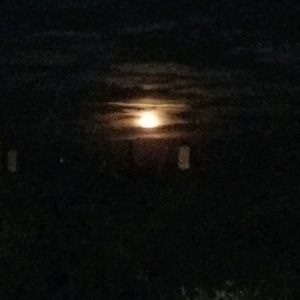 Meet your Posher, Roger